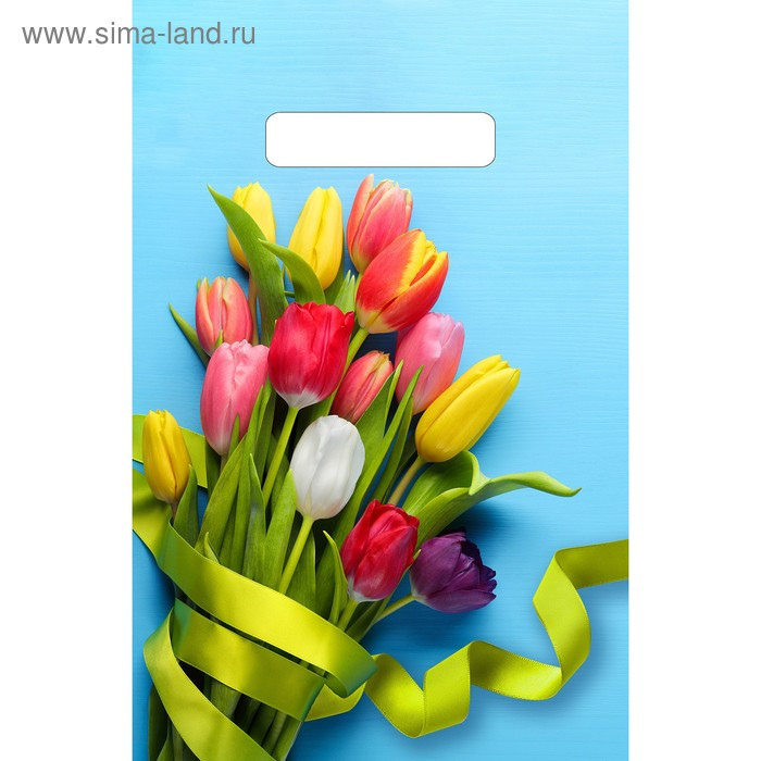 Пакет 