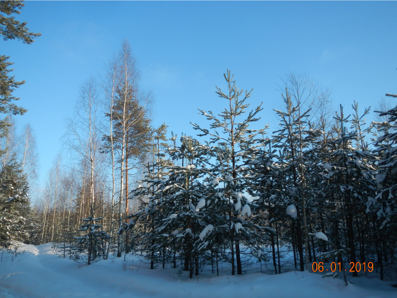 DSCN7841.JPG