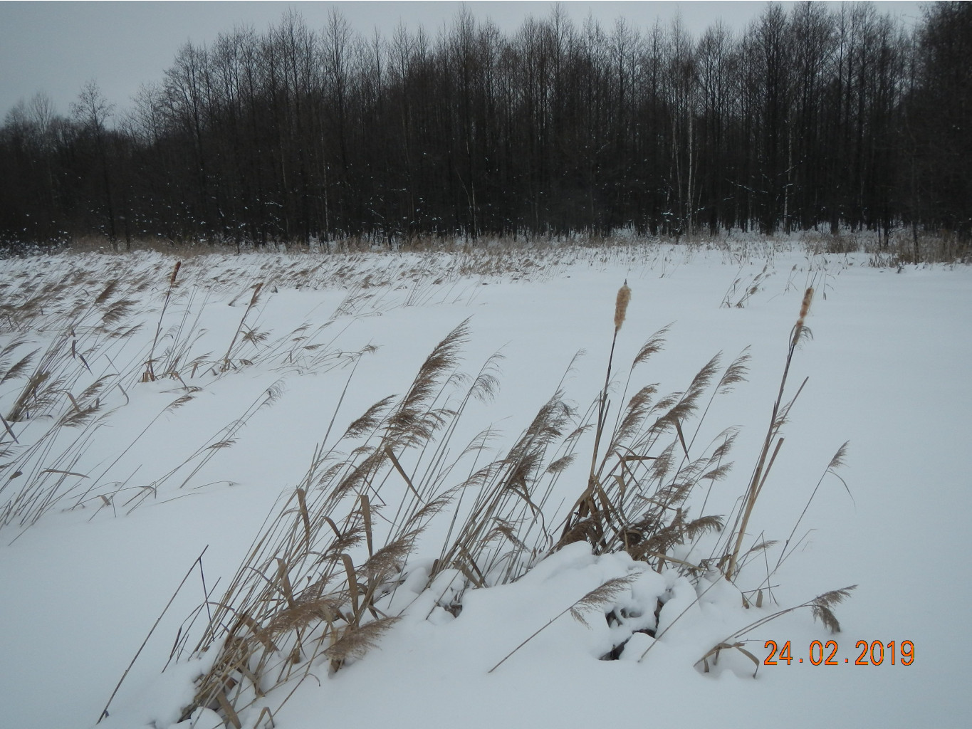 DSCN8269.JPG
