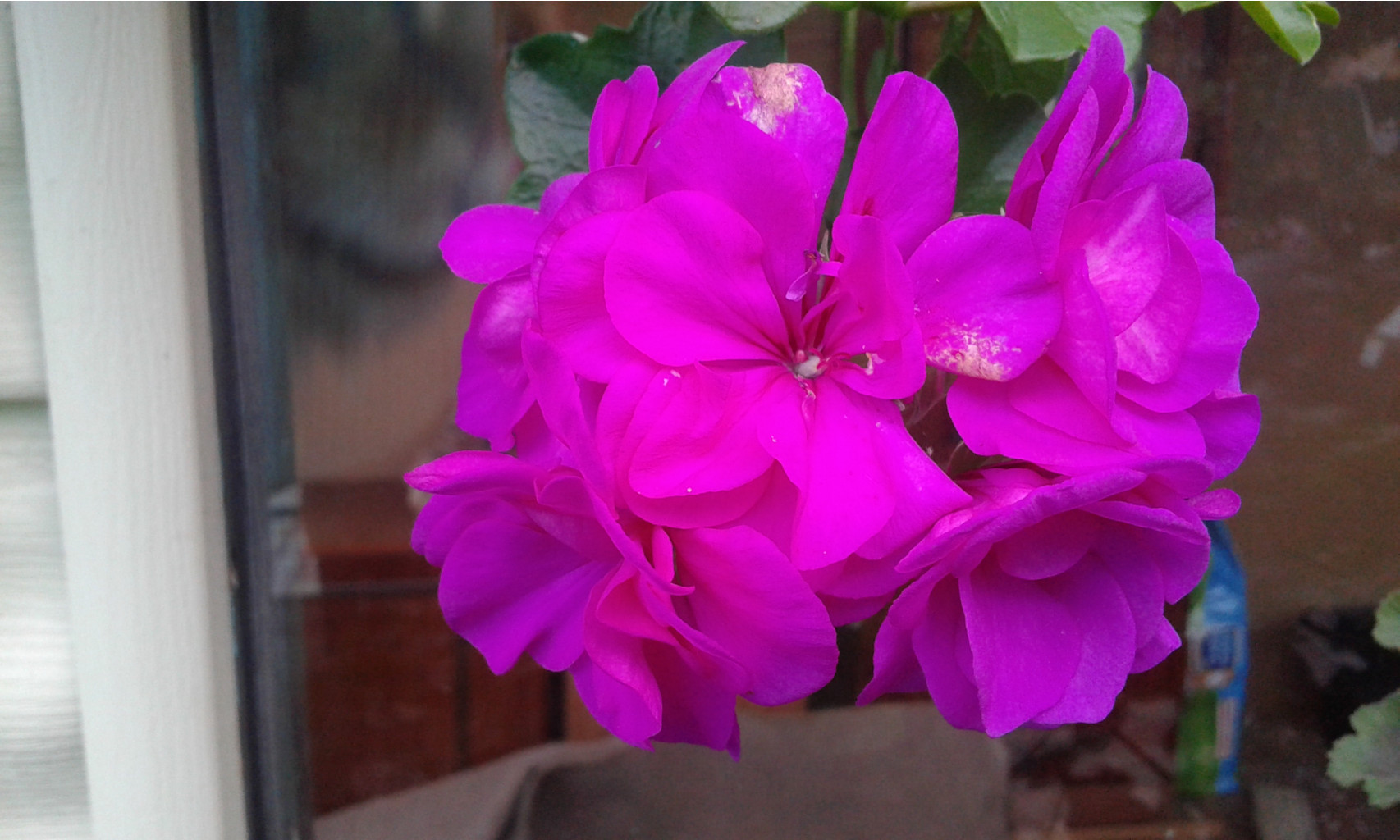 20160916 175337.jpg