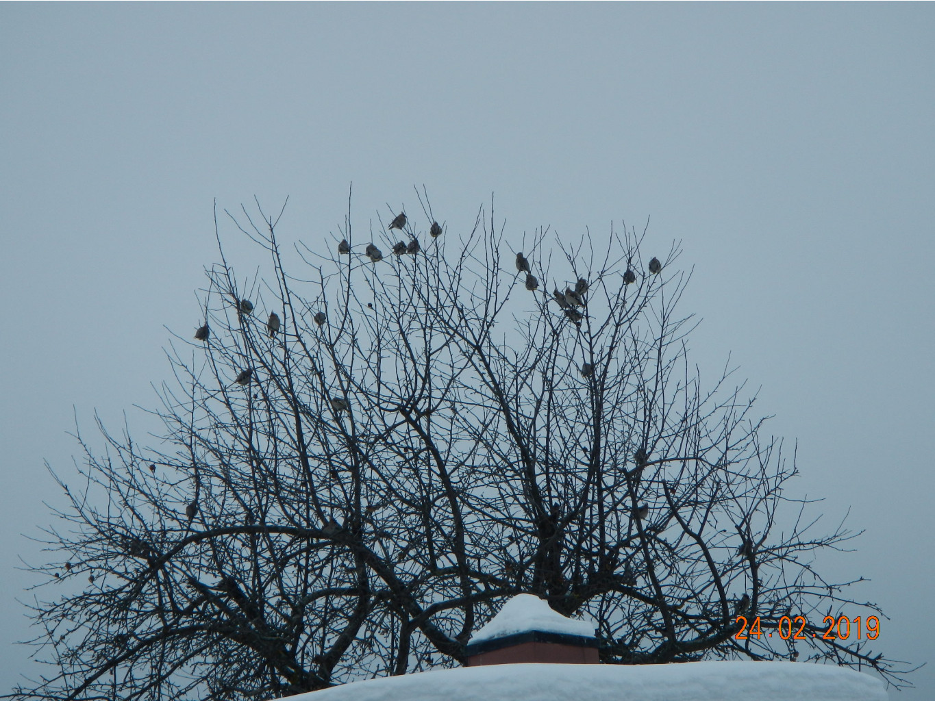 DSCN8293.JPG