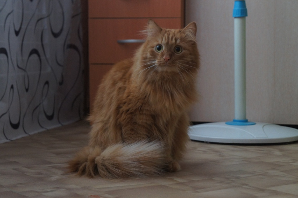 DSC00411.JPG