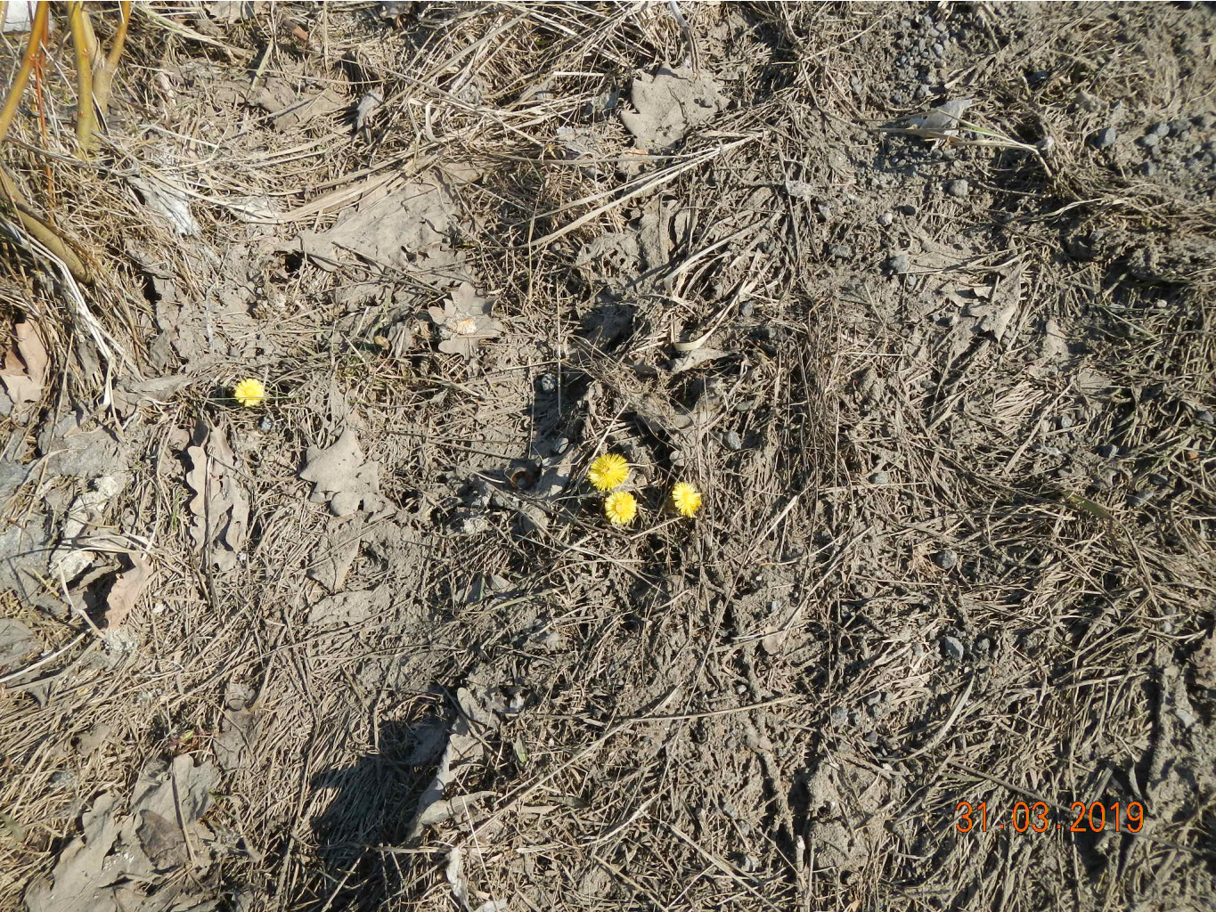 DSCN8663.JPG