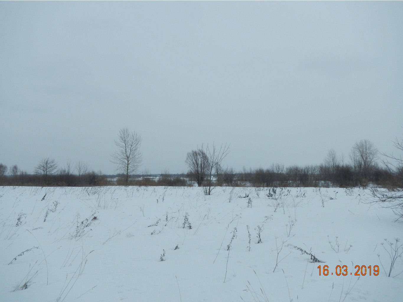 DSCN8466.JPG