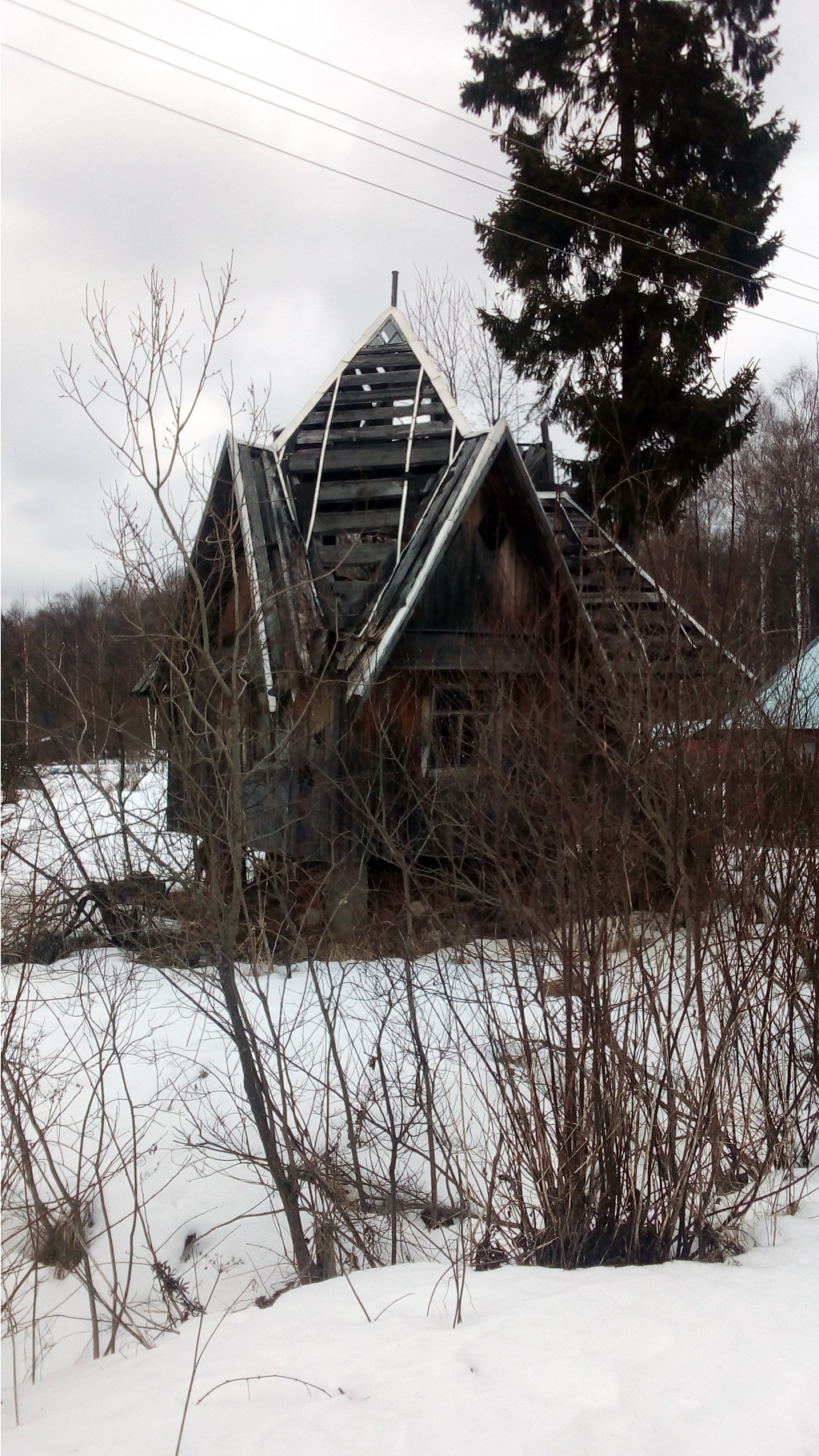 IMG 20190316 170456.jpg