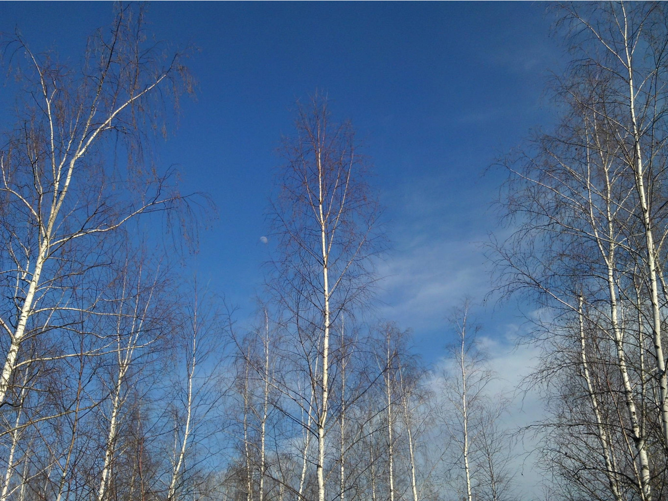 IMG 1535.JPG