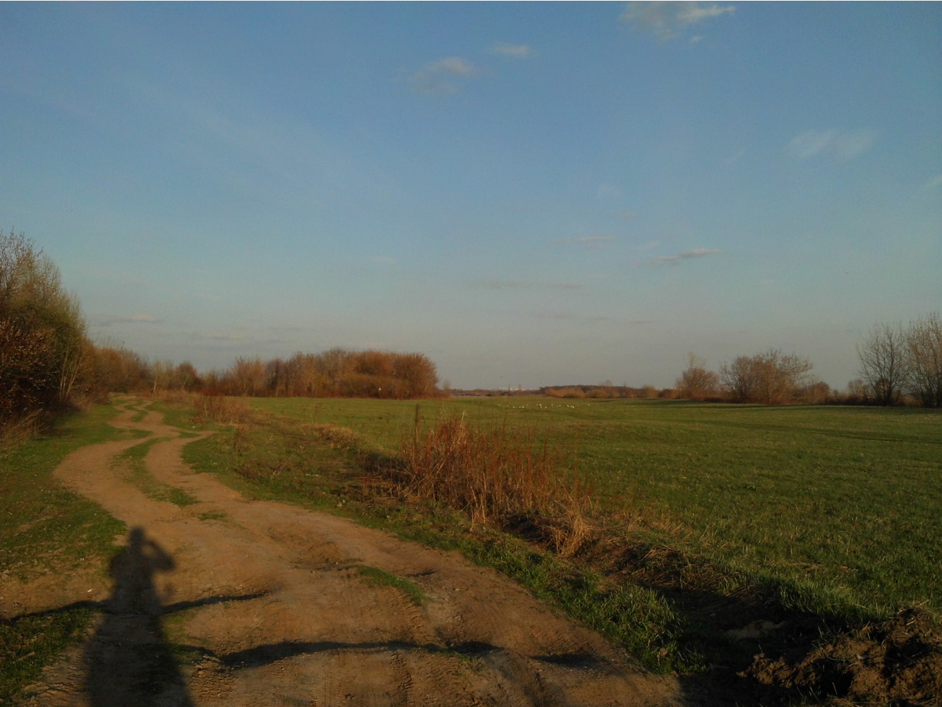 IMG 1655.JPG