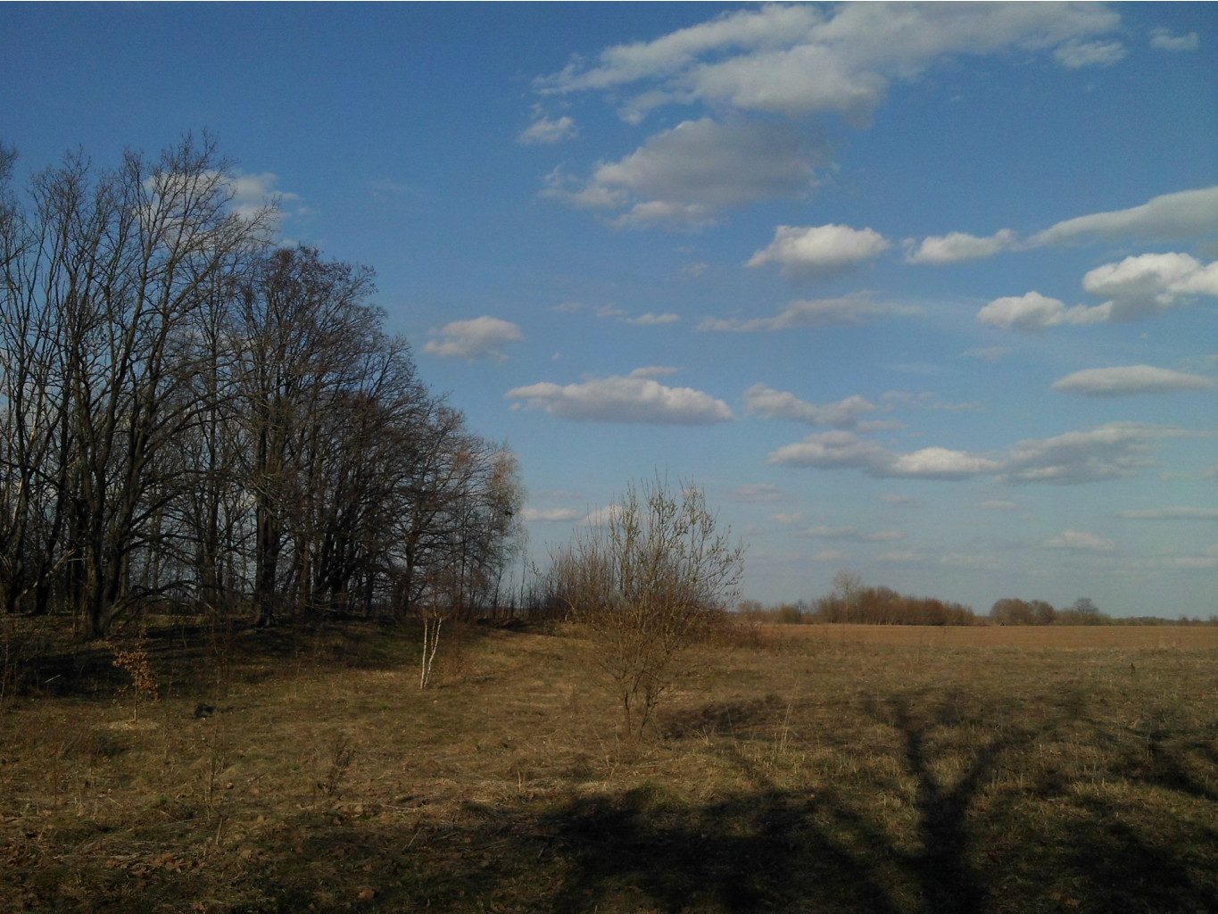 IMG 1575.JPG