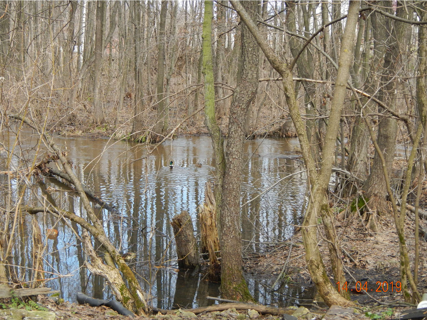 DSCN8836.JPG