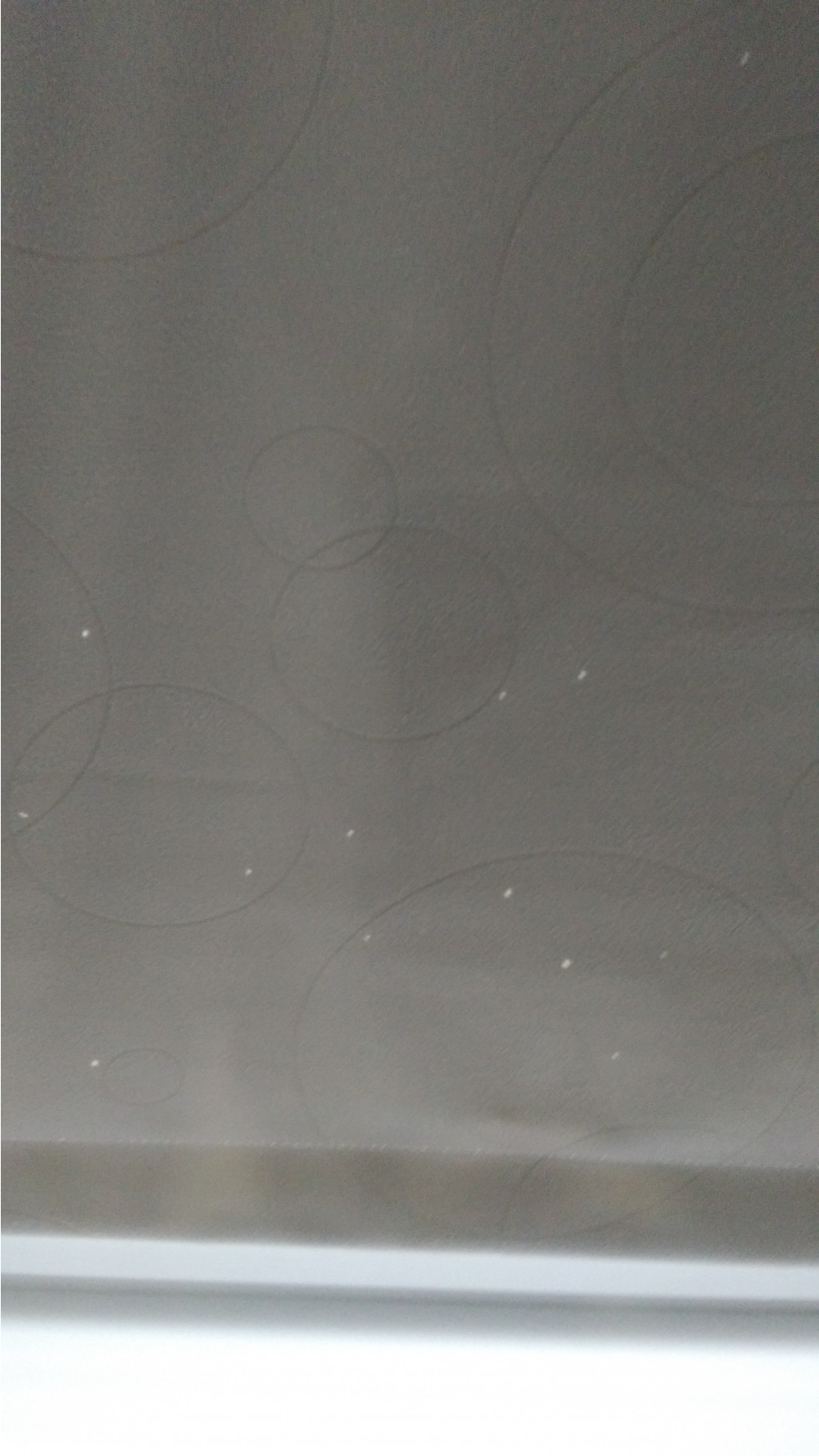 P 20190423 074544.jpg