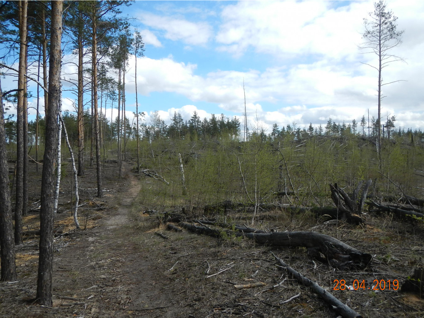 DSCN9262.JPG