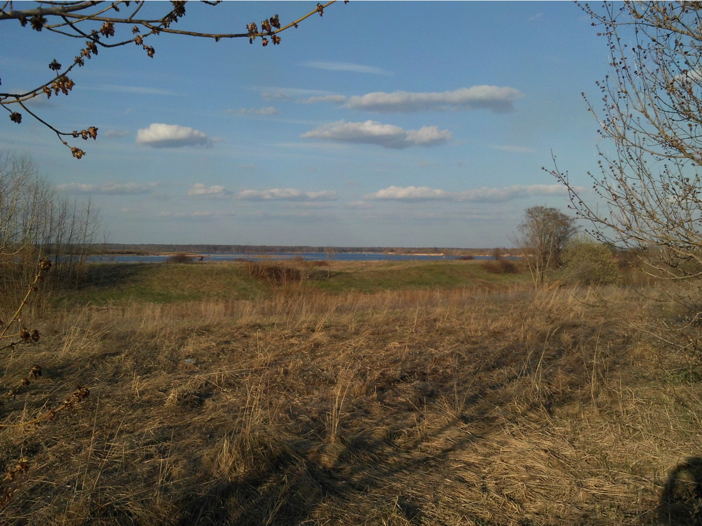 IMG 1606.JPG