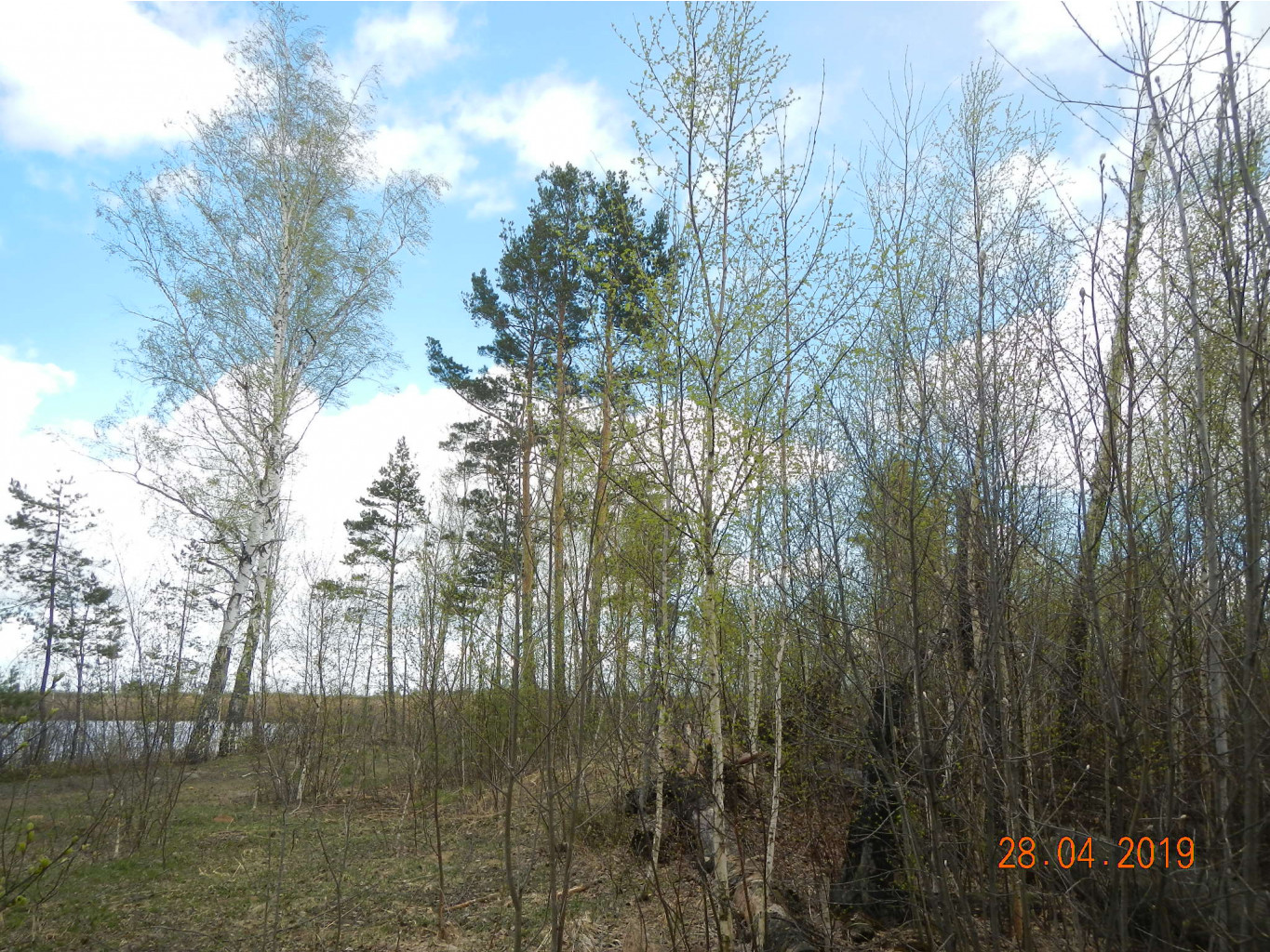 DSCN9241.JPG