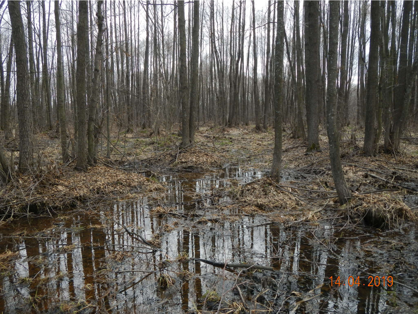DSCN8862.JPG