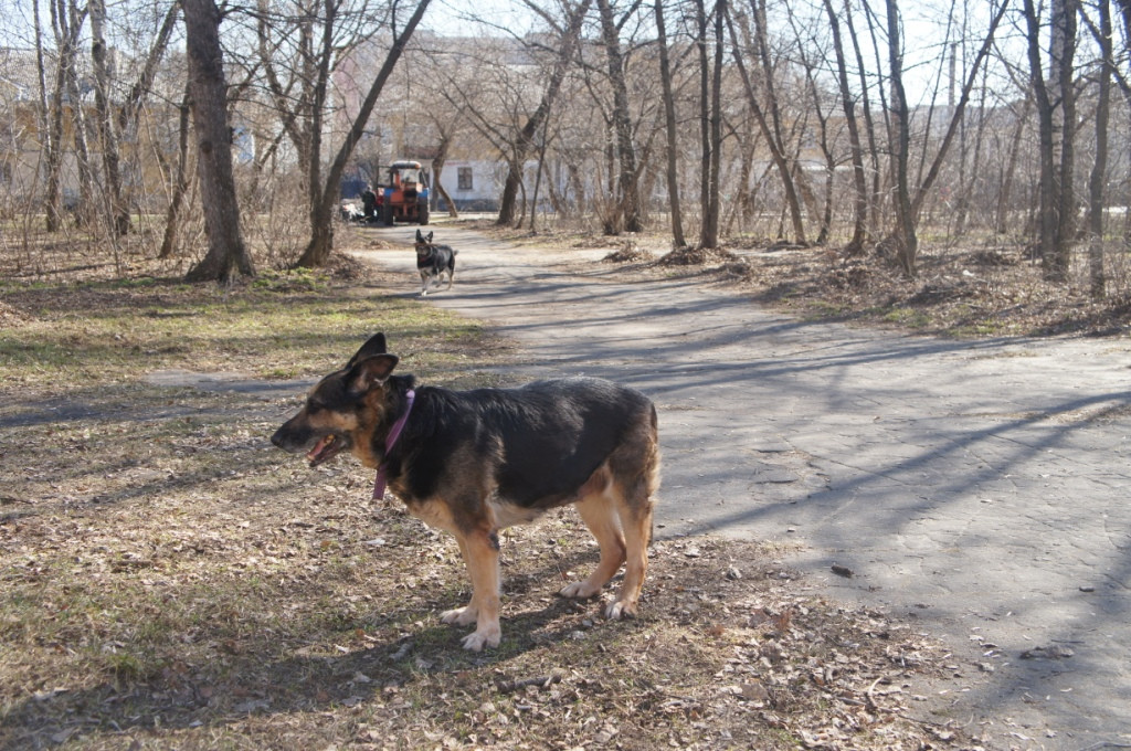 DSC00882.JPG