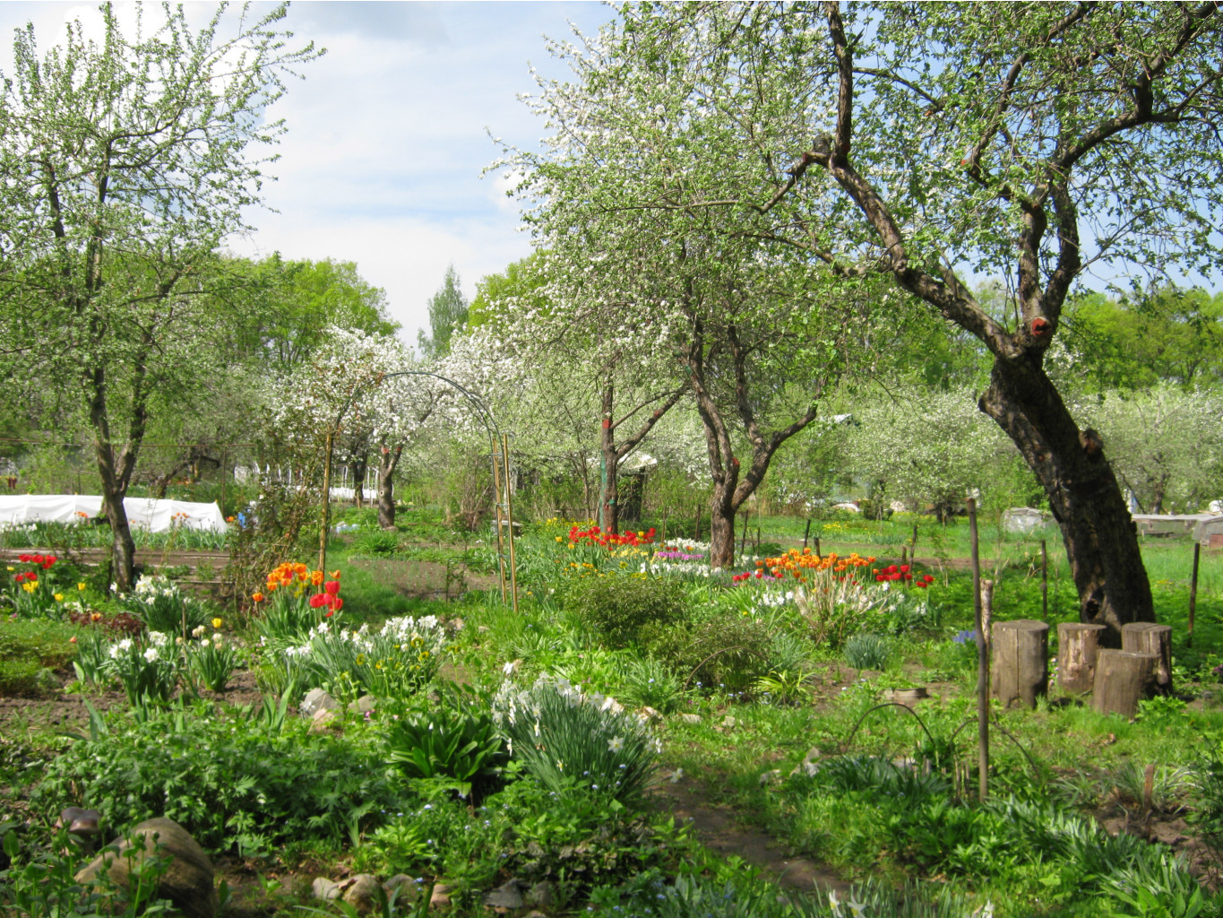 IMG 7754.JPG
