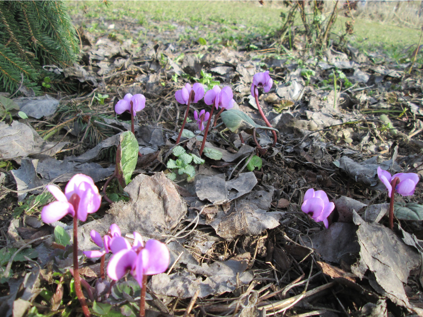 IMG 5680.JPG