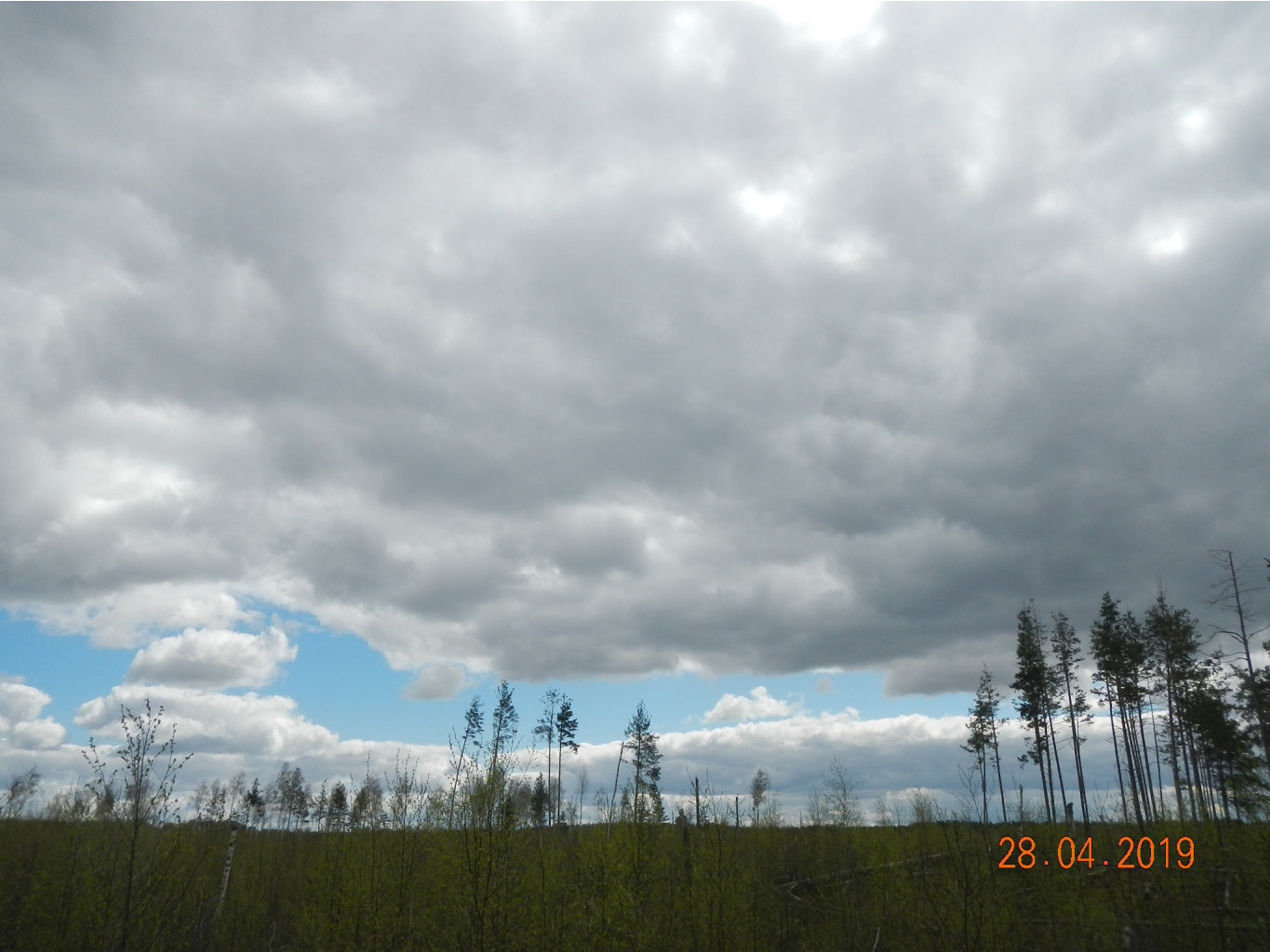 DSCN9216.JPG