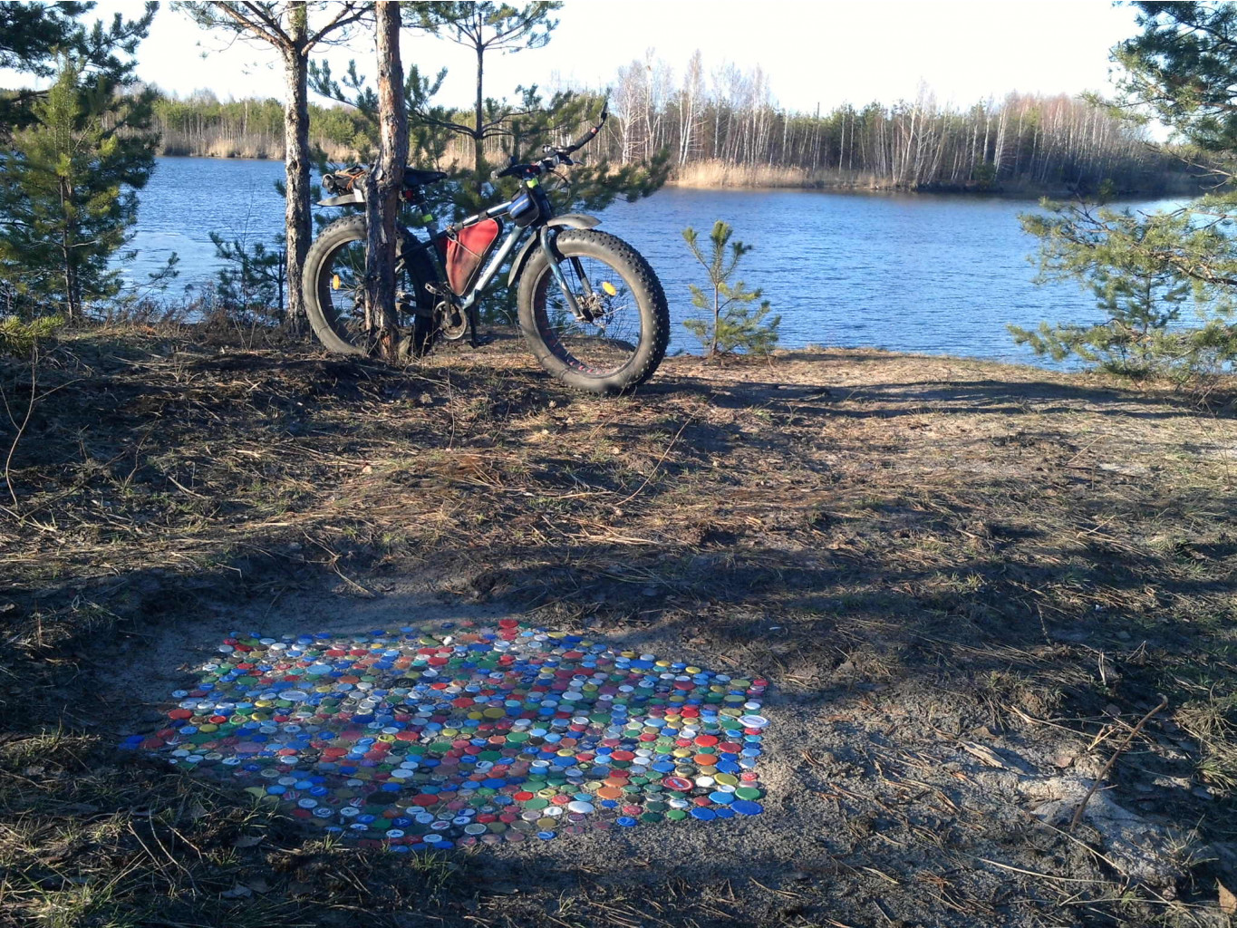 IMG 1552.JPG