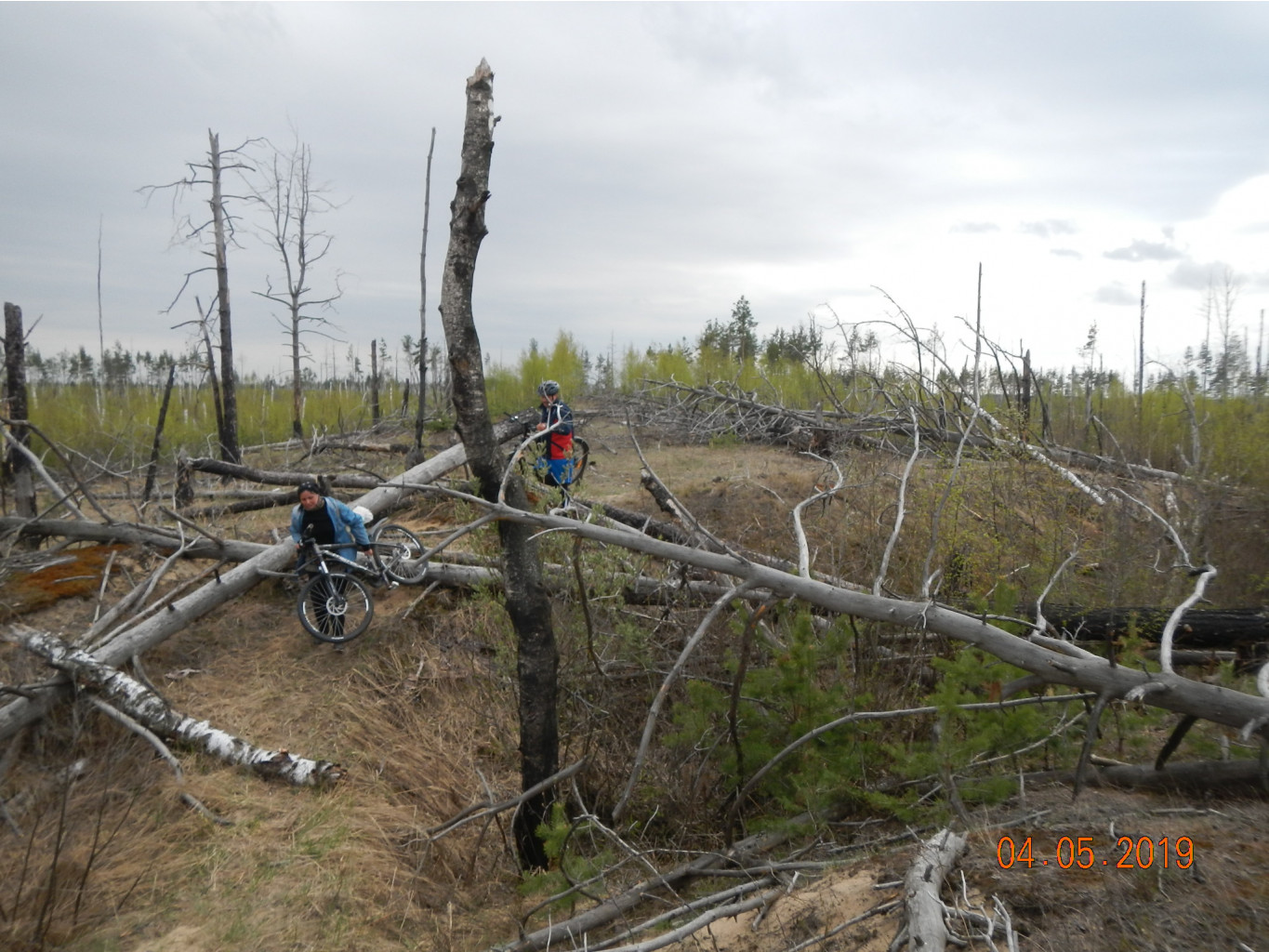 DSCN9565.JPG