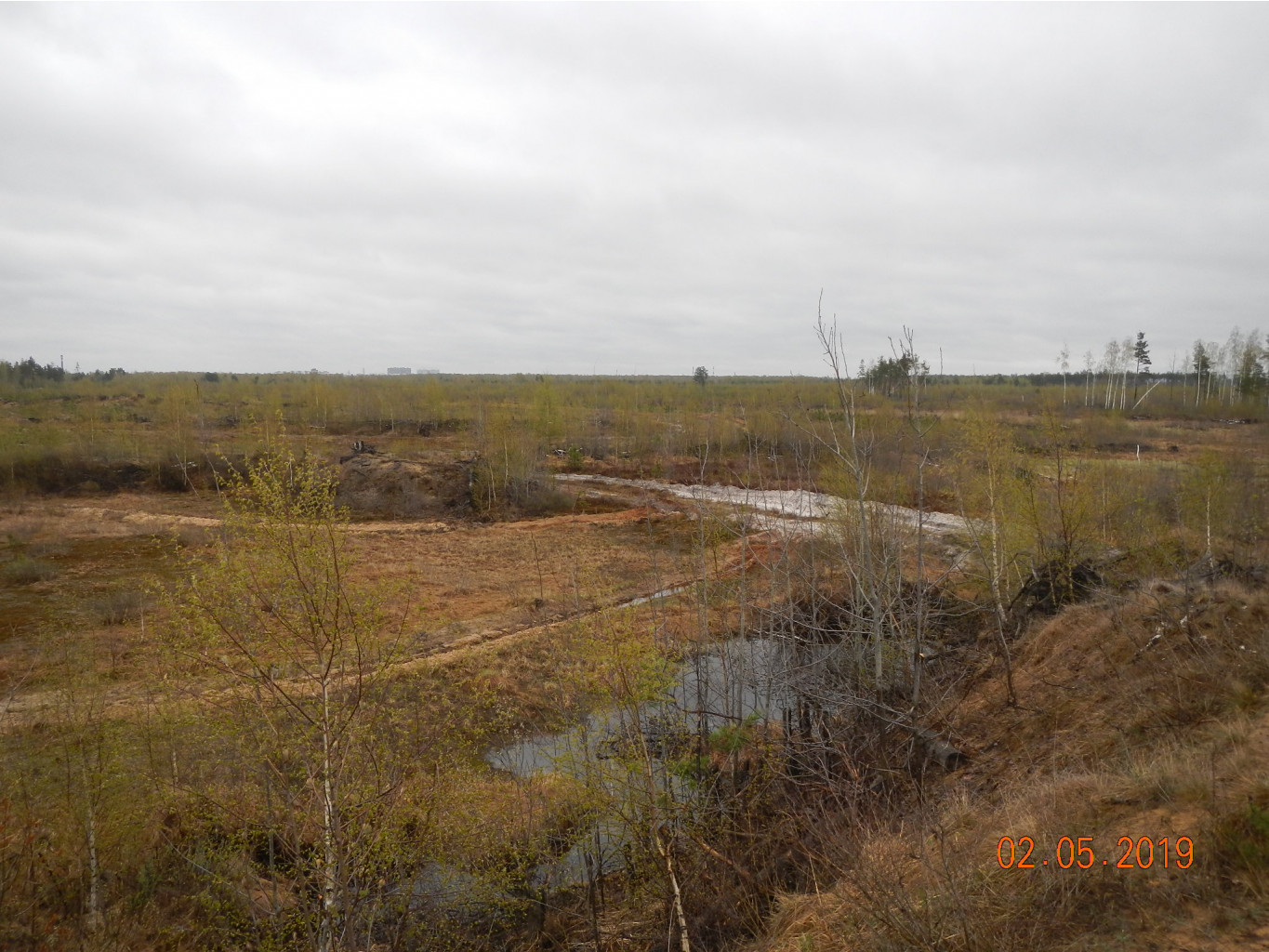 DSCN9399.JPG