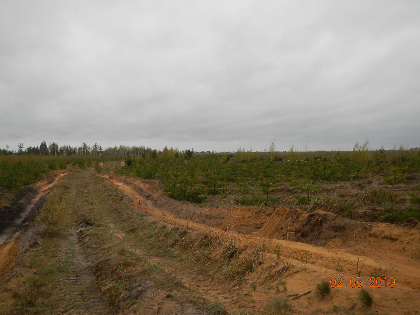 DSCN9384.JPG