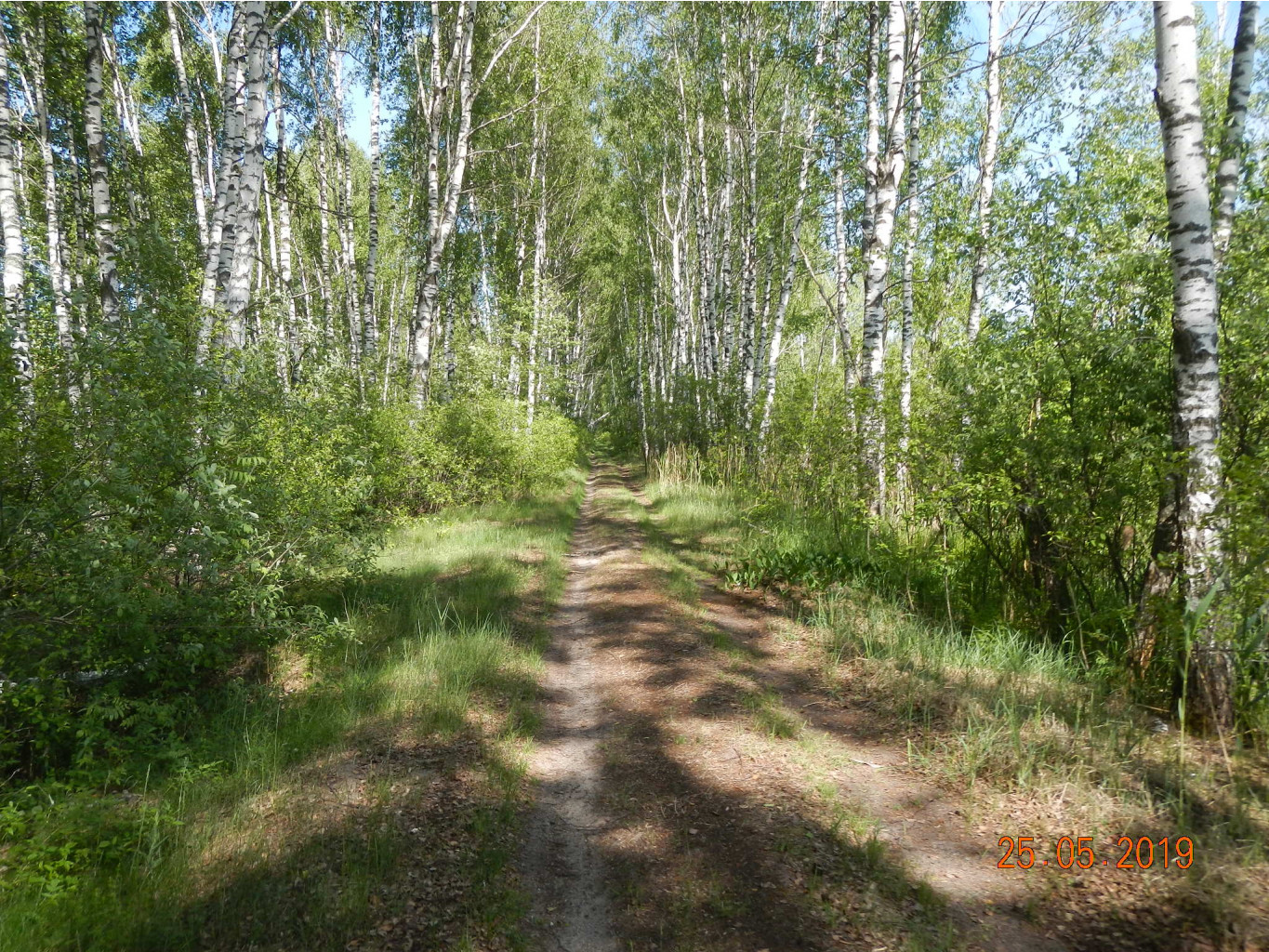 DSCN9960.JPG