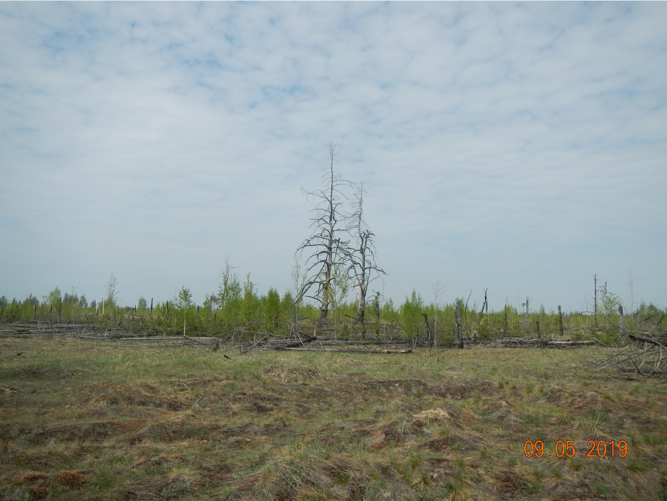 DSCN9616.JPG
