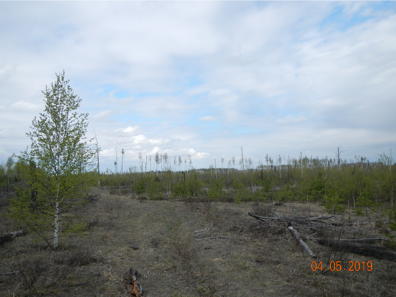 DSCN9564.JPG