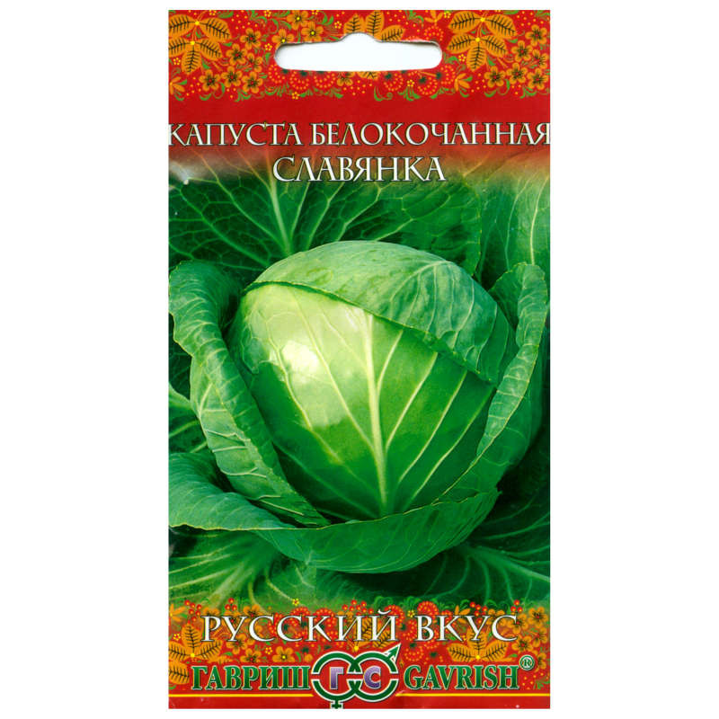 Капуста Славянка.jpg