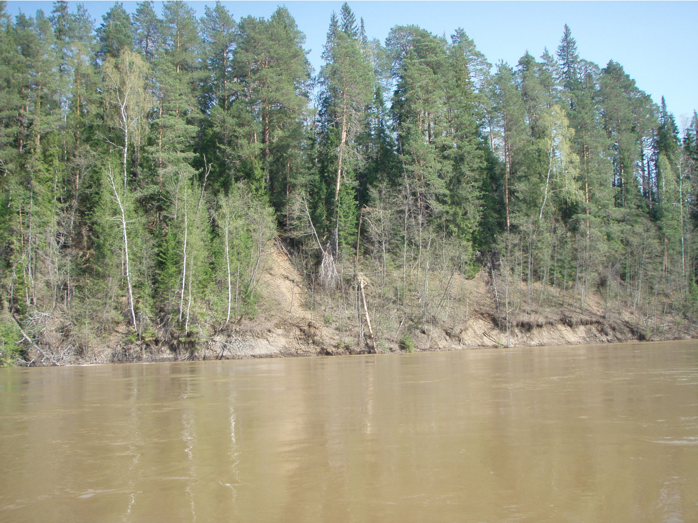 P1010071.JPG