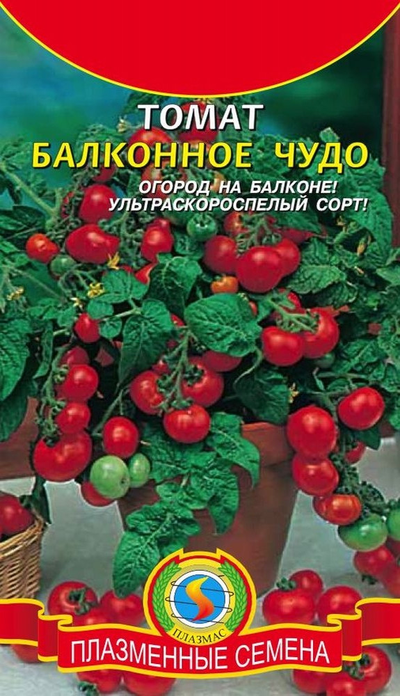 Томат Балконное чудо