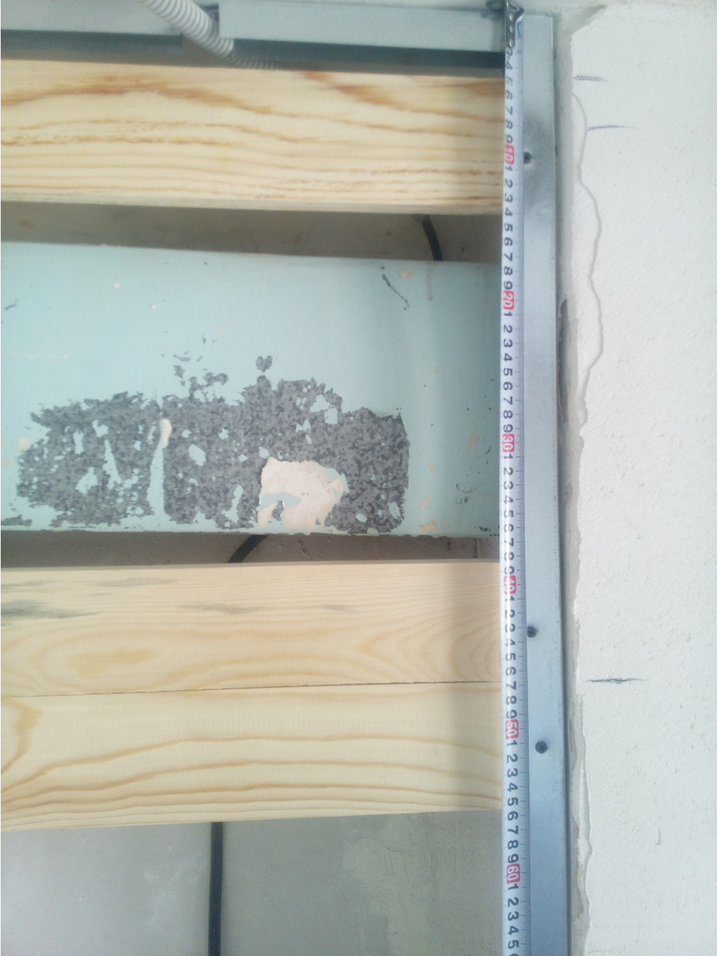 IMG 20190424 104941.jpg