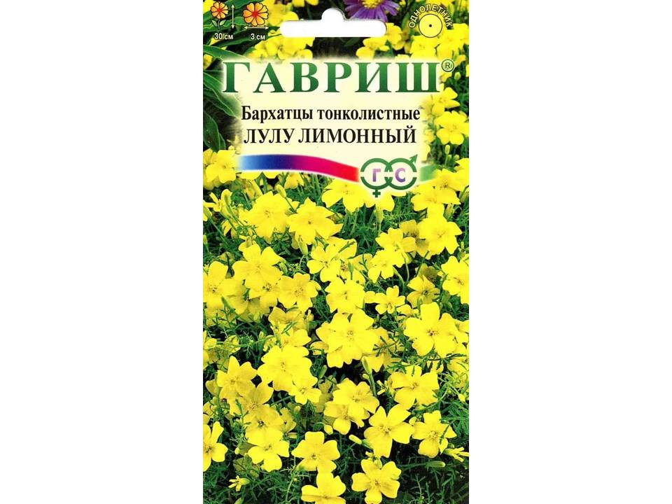 Бархатцы Лулу лимонный