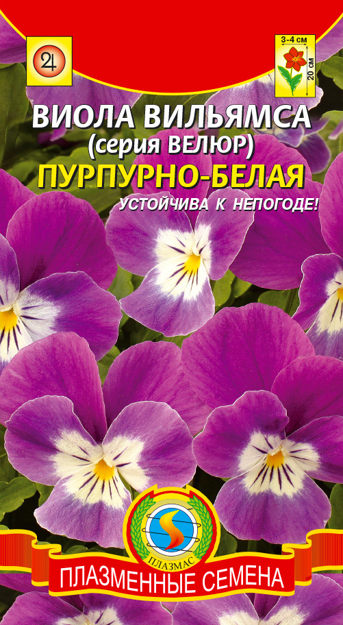 Виола.jpg