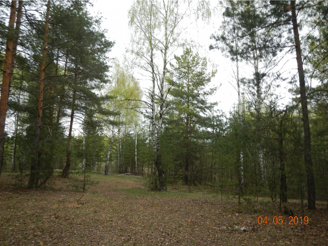 DSCN9491.JPG