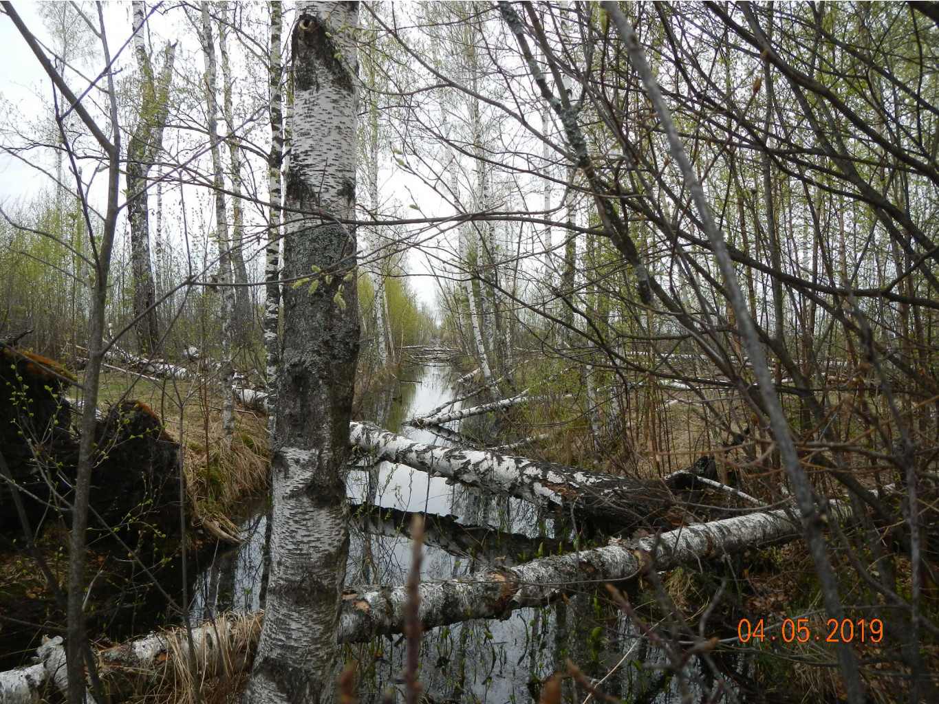 DSCN9528.JPG