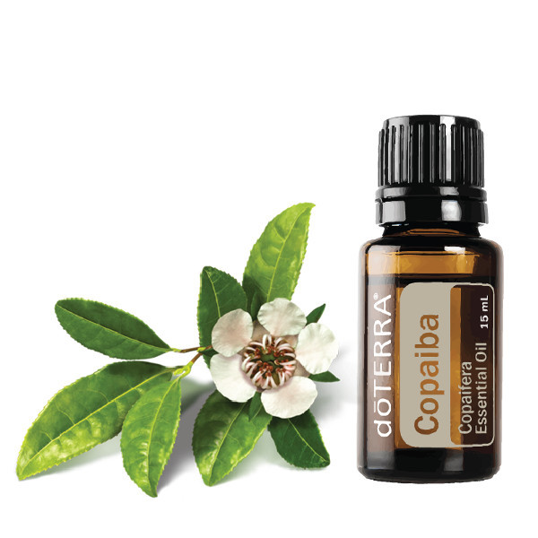  Copaiba Essential Oil