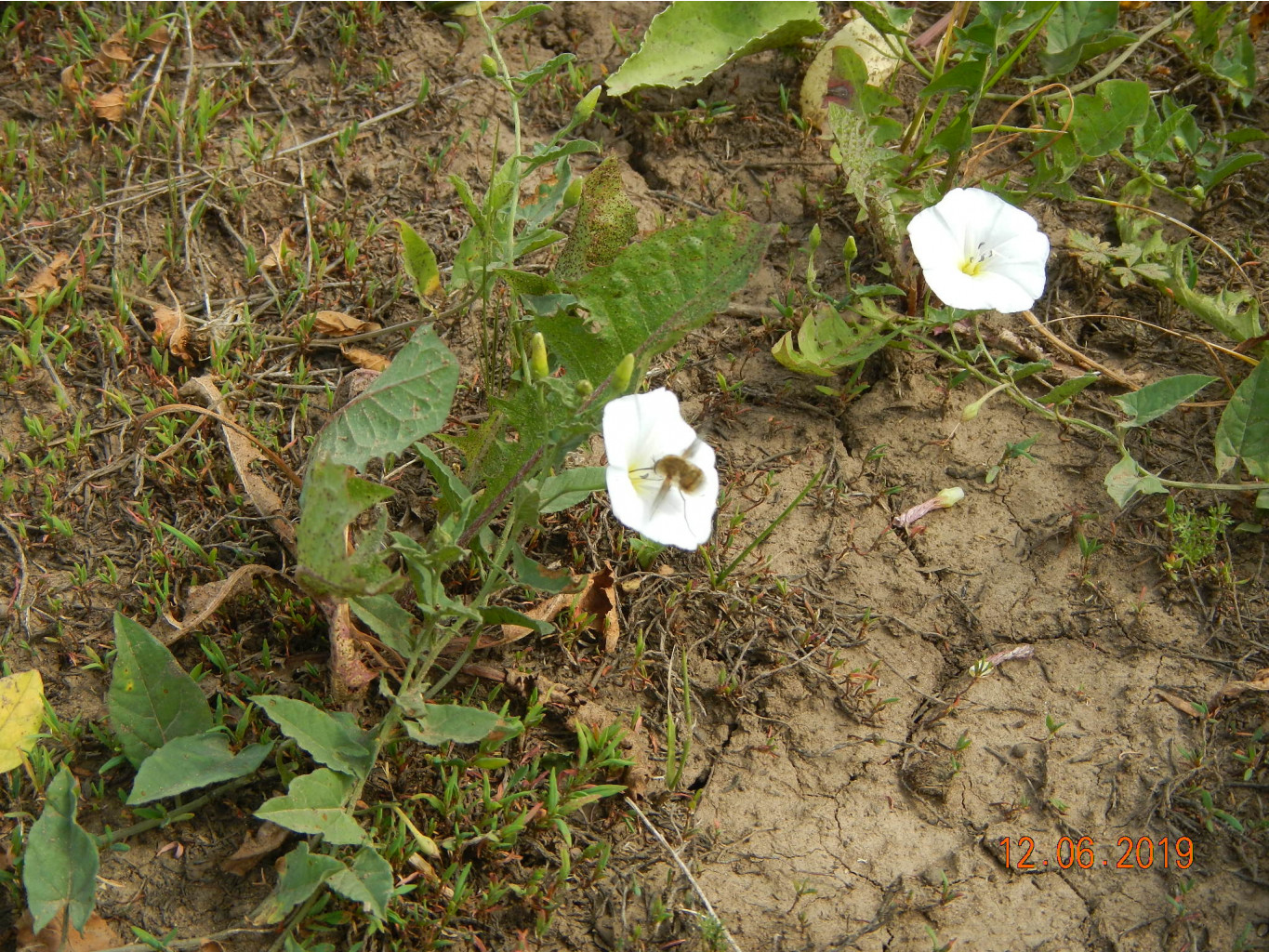 DSCN0139.JPG