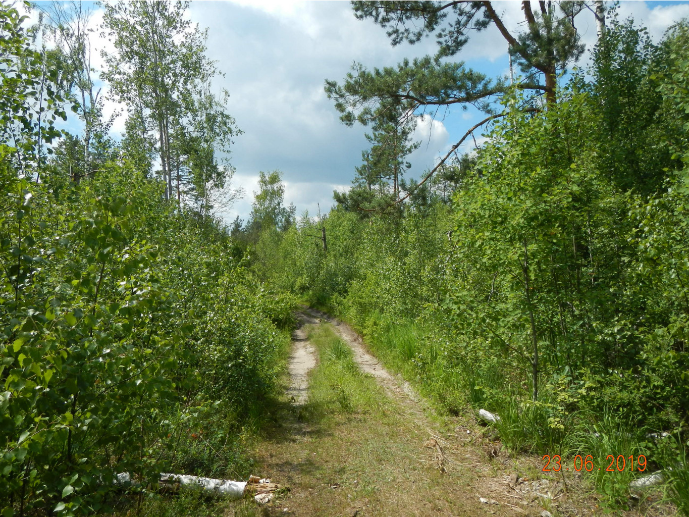 DSCN0316.JPG