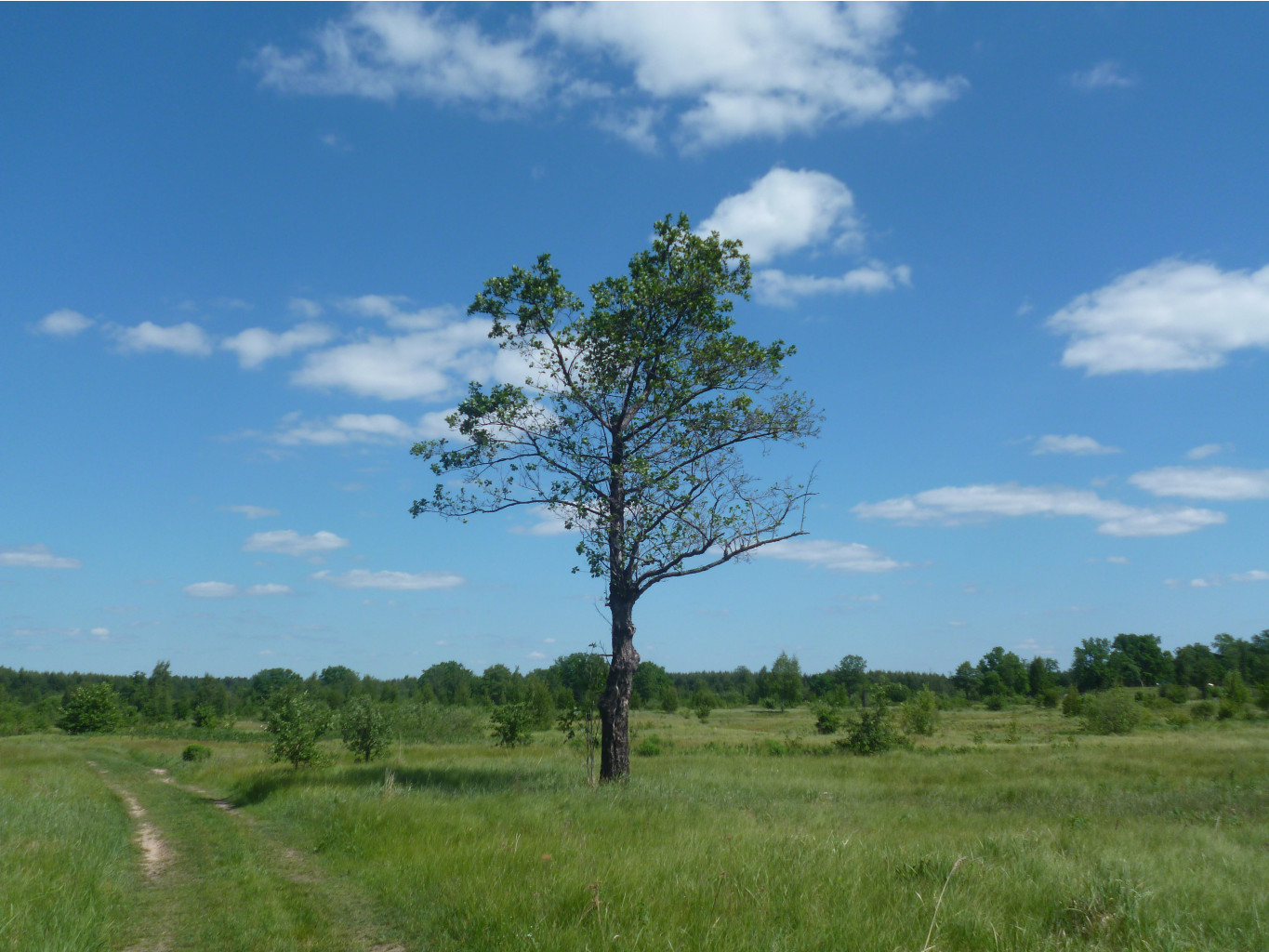 P1020100.JPG