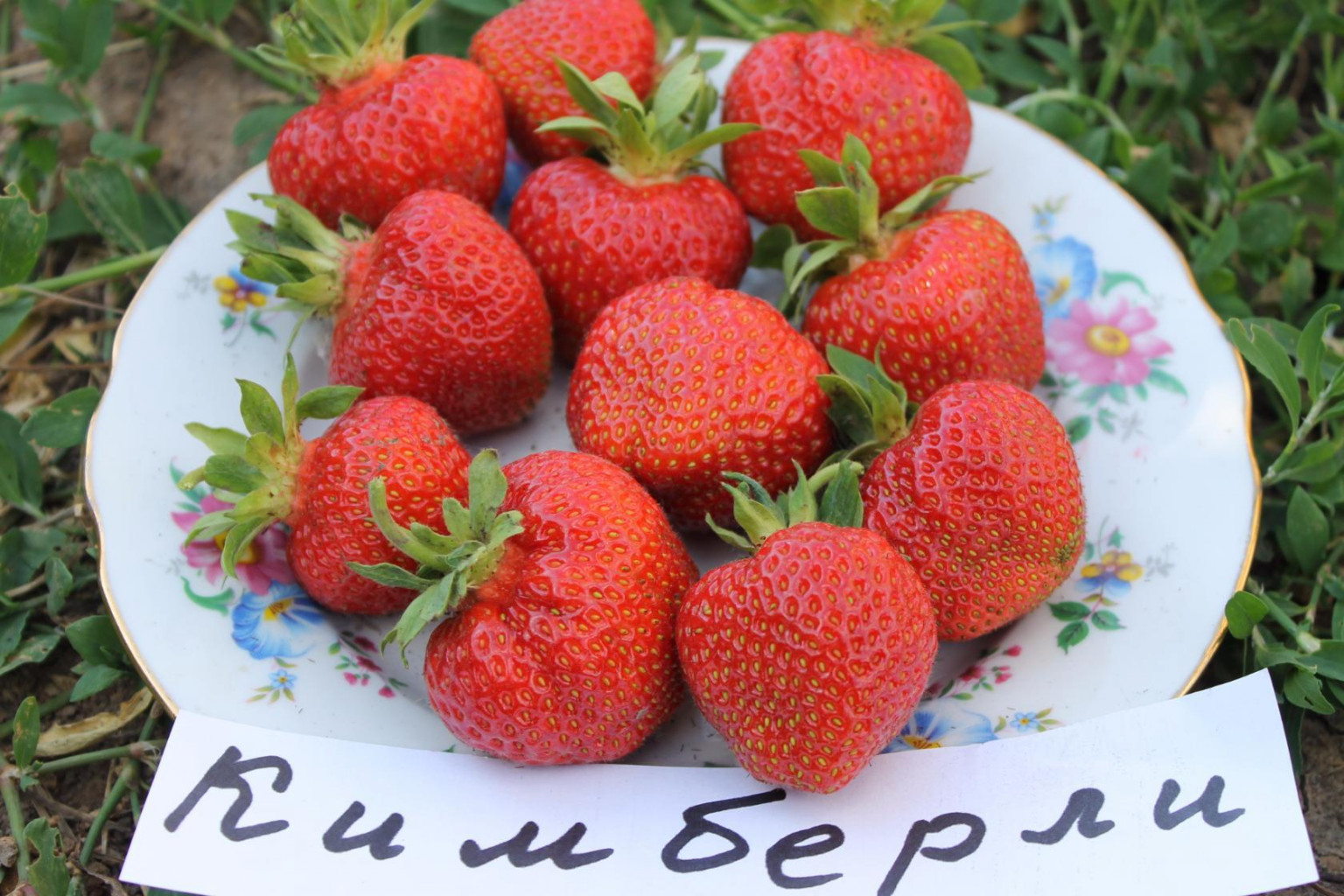 Кимберли