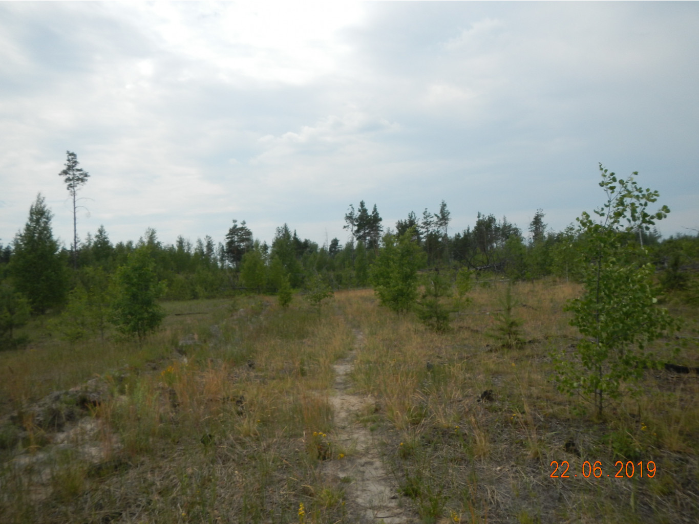 DSCN0267.JPG