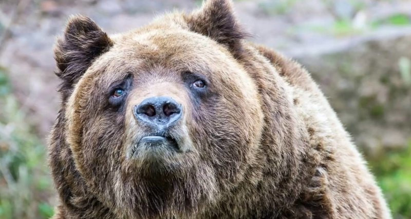 29ddb28fe11bcfec27b1b3e0fda31040 ce 1280x682x0x19 .jpg