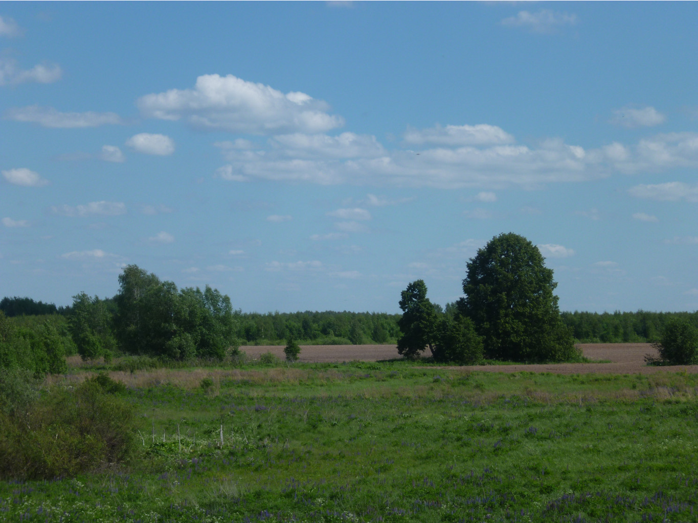P1020104.JPG