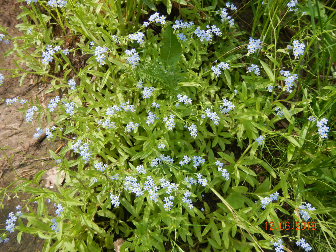 DSCN0127.JPG