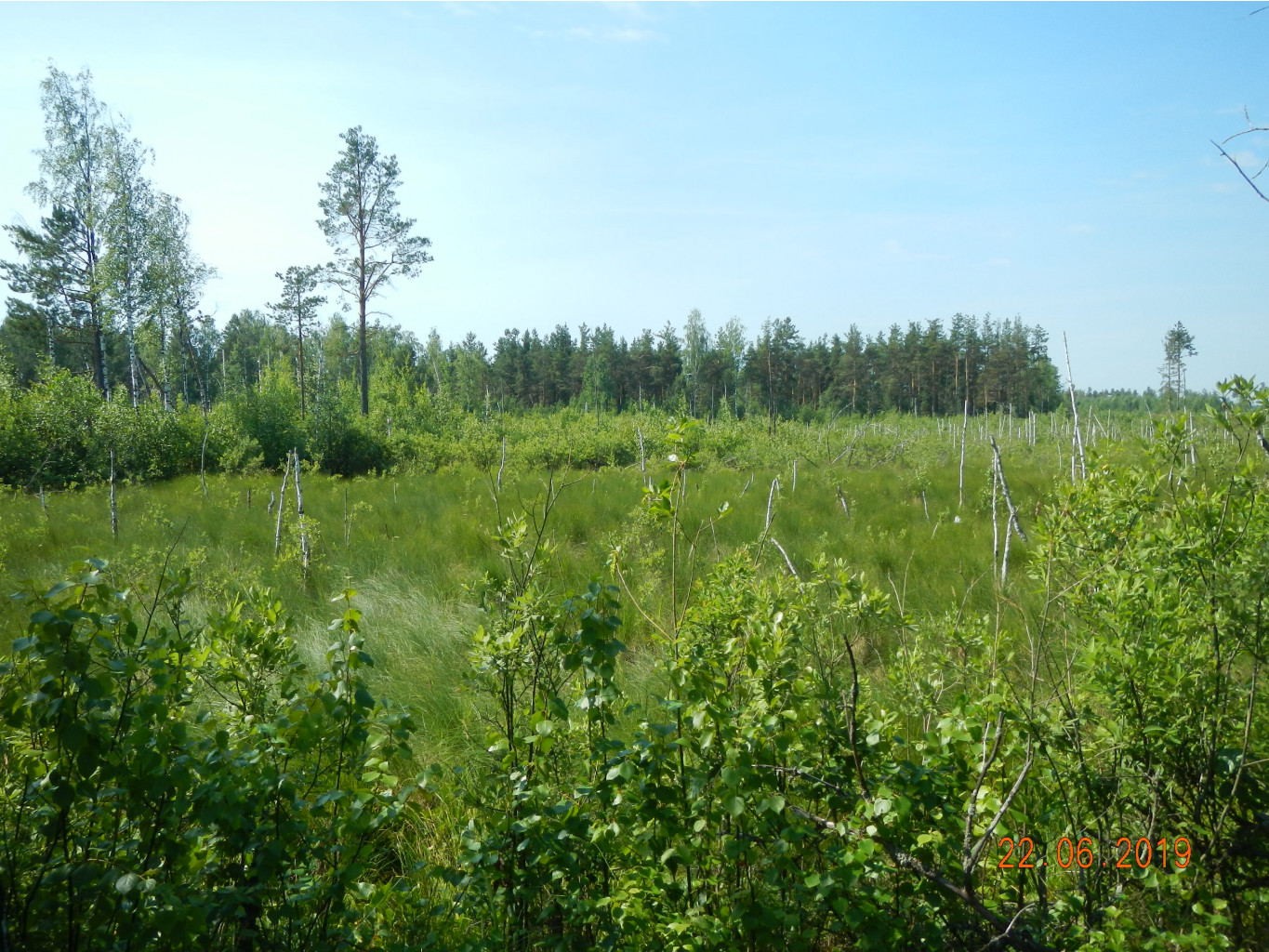 DSCN0247.JPG
