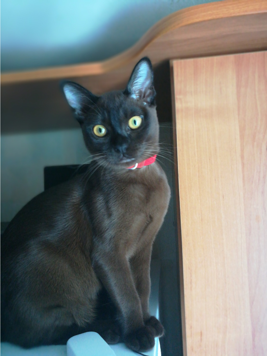 IMG 20190710 145341.jpg