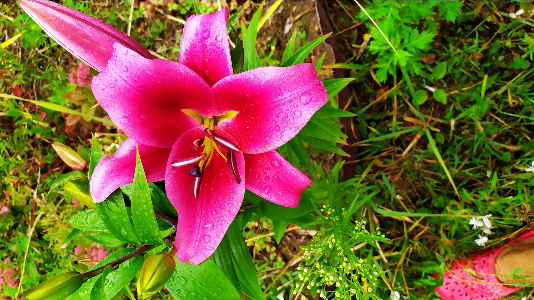 IMG 20190718 104509.jpg