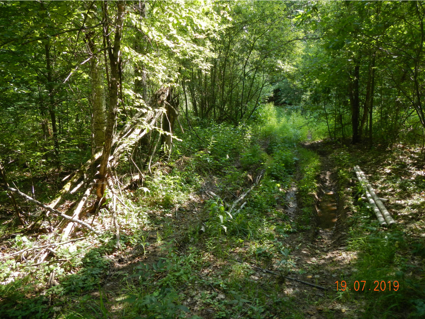 DSCN0638.JPG
